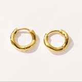 Twisted Hoop Earrings